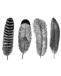 Large Feathers Decals - While Supplies Last