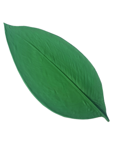 Large Canna Leaf Press Mold Mat 