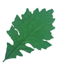 Large Oak Leaf Press Mold Mat