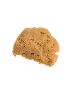  Jexine 30 Pieces Sponges for Pottery Clay Cleanup and