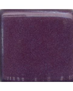 Pansy Purple MBG053