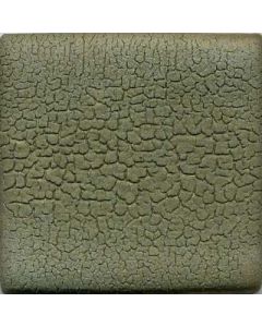 Croc Crawl MBG065 - While Supplies Last