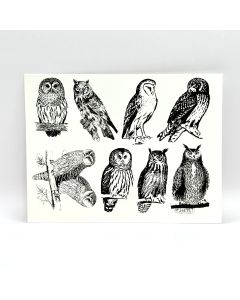 Owls Decals - While Supplies Last