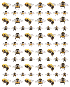 Bees Overglaze Decal