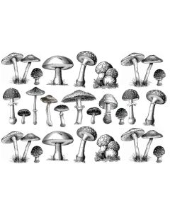 Mushroom Underglaze Transfer 