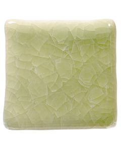 Frozen Fern KI-46 (PREORDER)