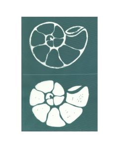 Ammonite Screen
