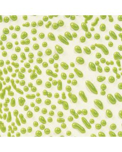 Lime Crawl CR-41