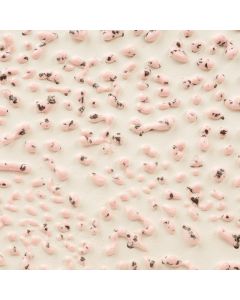 Speckled Pink Crawl CR-51 (PREORDER)