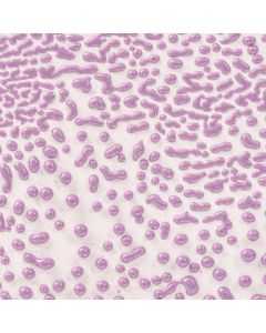 Purple Crawl CR-54 
