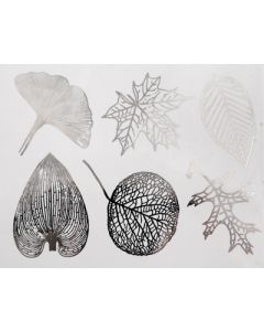 Large Leaves Decals
