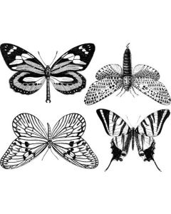Large Butterfly Decals