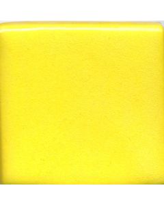 Yellow MBUG018
