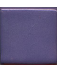 Blue Pansy MBUG020